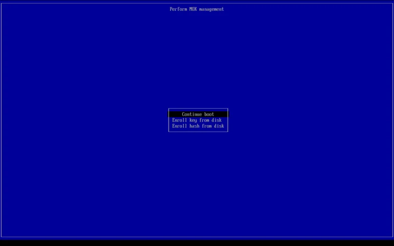 Perform MOK management: Continue boot, Enroll key from disk, Enroll hash from disk