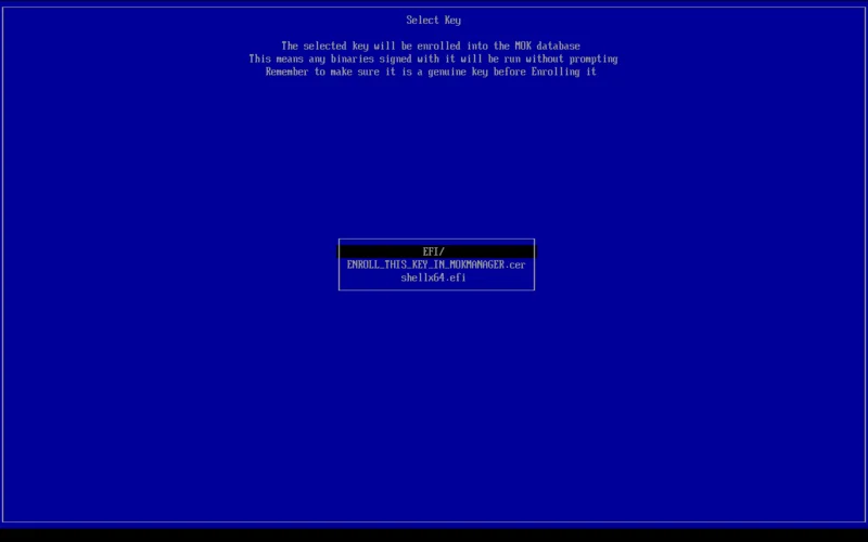 Select Key: EFI/, ENROLL_THIS_KEY_IN_MOKMANAGER.cer, shellx64.efi